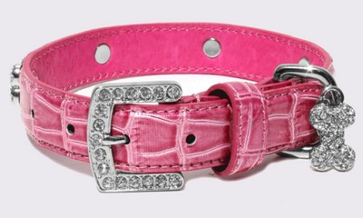 dog-collars-main.jpg