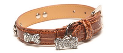 jeweled-dog-collars.jpg