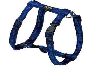 rogz_alpinist_modra_ksiry.jpg